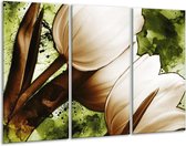 Glasschilderij Tulpen - Groen, Wit, Bruin - 120x80cm 3Luik - Foto Op Glas - Geen Acrylglas Schilderij - GroepArt 6000+ Glas Art Collectie - Maatwerk Mogelijk