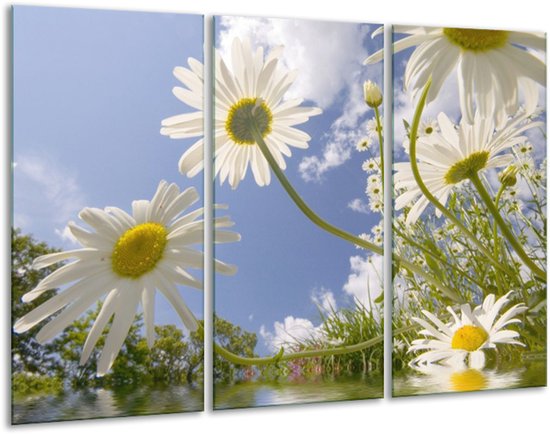 Glasschilderij Natuur - Blauw, Wit, Groen - 120x80cm 3Luik - Foto Op Glas - Geen Acrylglas Schilderij - GroepArt 6000+ Glas Art Collectie - Maatwerk Mogelijk
