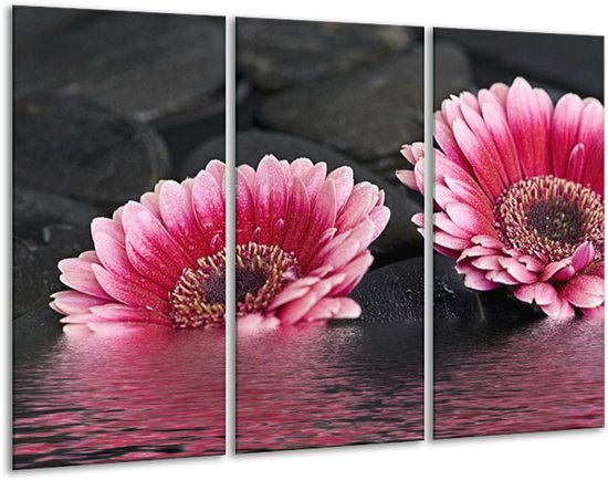 Glasschilderij Gerbera - Rood, Grijs, Zwart - 120x80cm 3Luik - Foto Op Glas - Geen Acrylglas Schilderij - GroepArt 6000+ Glas Art Collectie - Maatwerk Mogelijk