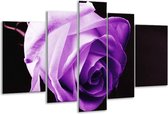 Peinture sur verre rose | Violet, blanc, noir | 170x100cm 5 Liège | Tirage photo sur verre |  F003875