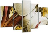 Glasschilderij Tulpen - Wit, Bruin, Geel - 170x100cm 5Luik - Foto Op Glas - Geen Acrylglas Schilderij - 6000+ Glasschilderijen Collectie - Wanddecoratie
