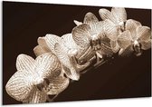 Peinture sur verre d'orchidée | Sépia, Marron | 120x70cm 1Hatch | Tirage photo sur verre |  F001876