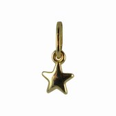 Silventi 132400319 Gouden Hangertje - Dames - Ster - 4 mm - 14 Karaat - Bedel - Goud