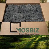 MosBiz Rendiermos Anthraziet 2 laags (2,6 kilo) voor decoraties, schilderijen en mos wanden