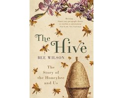 Hive