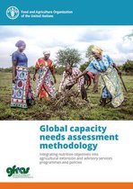 Global capacity needs assessment methodology