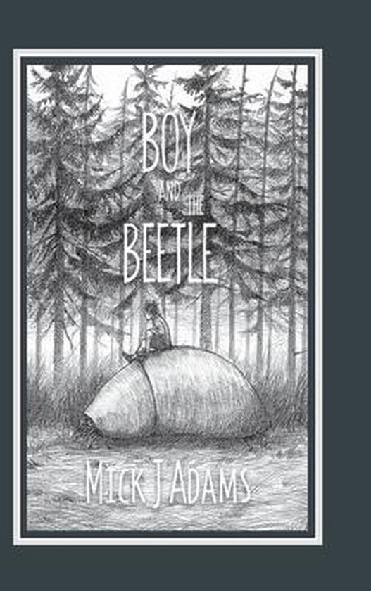 Boy and the Beetle - cover