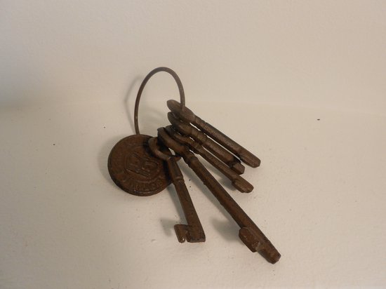 Ring 5 sleutels bruin - Sommerfield
