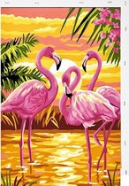 Schilderen op Nummer Flamingo 40x50 met Frame Volwassenen & Kinderen - Kleuren op Nummer - Paint by Number - Hobbypainting.nl®