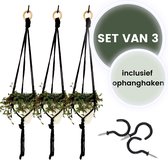 Bamboez - Macramé plantenhanger  - ↕ 63 cm -  Ø tot 10cm - Set van 3 stuks - 100% Katoen - Inclusief zwarte schroefhaken - Zwart - Handgemaakt in Nederland