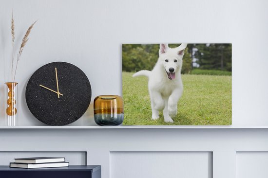 Canvas Schilderij De puppy van een witte Duitse herder - 40x30 cm - Wanddecoratie
