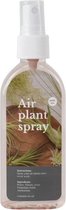 Tillandsia Spray voor luchtplantjes - Voordeel 3 stuks - Airplant verzorgingspray - 80 ml