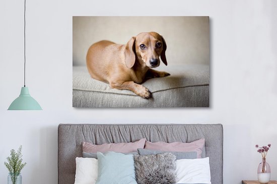 Un teckel brun regarde dans l'appareil photo Toile 180x120 cm - Tirage photo sur Toile (Décoration murale salon / chambre) / Animaux domestiques Peintures sur toile XXL / Groot format!