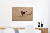 Herder allemand joue sur la plage Toile 60x40 cm - Tirage photo sur toile (Décoration murale salon / chambre) / Peintures sur toile pour Animaux domestiques