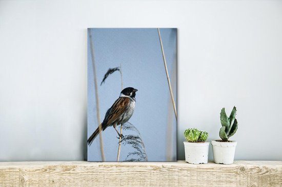 Canvas Schilderij Vogel die een tak van het riet neerstrijkt - 20x30 cm - Wanddecoratie