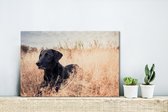 Canvas Schilderij Een Labrador Retriever ligt in het hoge gras - 30x20 cm - Wanddecoratie