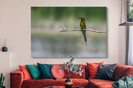 Tableau sur toile Le guêpier nain est assis sur une branche - 150x100 cm - Décoration murale