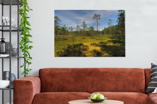 Grands arbres sur la bruyère dans le parc national de Skuleskogen en Suède Toile 120x80 cm - Tirage photo sur toile (Décoration murale salon / chambre)