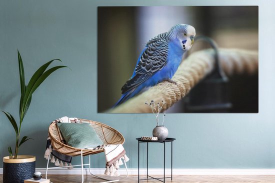 Canvas schilderij 150x100 cm - Wanddecoratie Knalblauwe parkiet op een dik touw - Muurdecoratie woonkamer - Slaapkamer decoratie - Kamer accessoires - Schilderijen