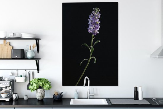 Une toile violette de couleur violette sur fond noir 90x140 cm - Tirage photo sur toile (Décoration murale salon / chambre) / Peintures Fleurs sur toile