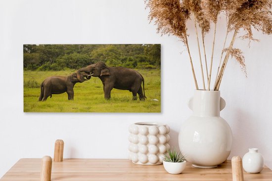 Deux éléphants de combat sur toile 2cm 30x20 cm - petit - Tirage photo sur toile (Décoration murale salon / chambre) / Animaux sauvages Peintures sur toile