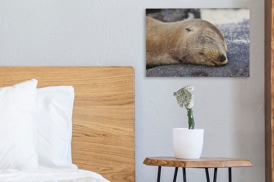 Tableau sur toile Gros plan - Animaux - Pierres - 30x20 cm - Décoration murale