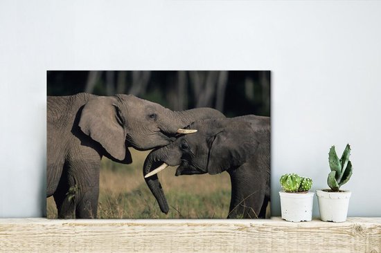 Toile d'éléphants gambadeurs 2cm 30x20 cm - petit - Tirage photo sur toile (Décoration murale salon / chambre) / animaux sauvages Peintures sur toile