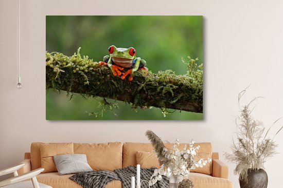 Grenouille d'arbre aux yeux rouges sur toile de branche couverte 2cm 150x100 cm - Impression photo sur toile (Décoration murale salon / chambre) / Peintures sur toile animaux sauvages