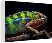Impressions sur Peintures - Caméléon Coloré Regardant Autour - 30x20 cm - Décoration murale