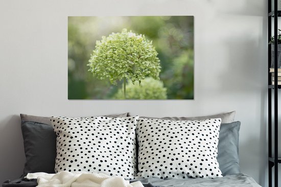 Hortensia vert sur fond délavé 60x40 cm - Tirage photo sur toile (Décoration murale salon / chambre) / Peintures Fleurs sur toile