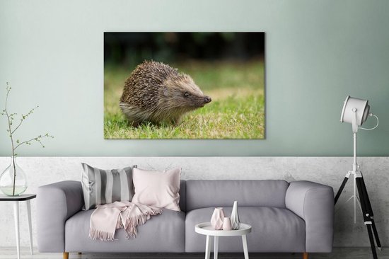 Hérisson dans le jardin toile 2cm 140x90 cm - impression photo sur toile peinture Décoration murale salon / chambre à coucher) / Animaux sauvages Peintures Toile