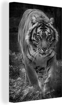 Tigre marchant vers la caméra en toile noir et blanc 2cm 40x60 cm - Tirage photo sur toile (Décoration murale salon / chambre) / Animaux sauvages Peintures sur toile