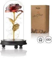 Luxe Roos in Glas met LED – Gouden Roos in Glazen Stolp – Beauty and the Beast Rose - Cadeau voor vriendin moeder haar - Donkere Voet - Qwality