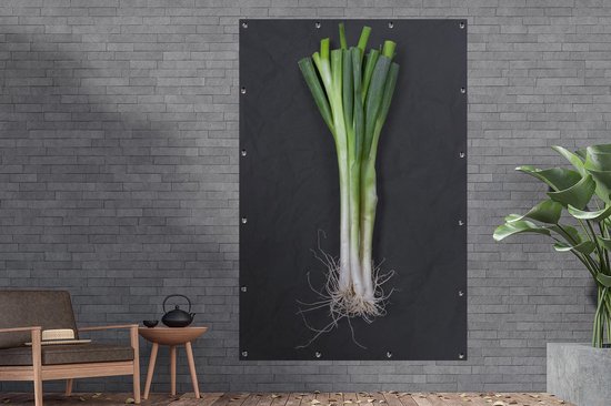 Le fameux oignon de printemps sur fond sombre Affiche de jardin 120x180 cm - Toile de jardin / Toile d'extérieur / Peintures d'extérieur (décoration de jardin) XXL / Groot format!