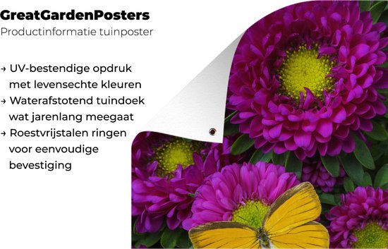 Poster Jardin papillon orange sur Aster fleurs 60x90 cm - Toile de jardin / Toile d'extérieur / Peintures d'extérieur (décoration de jardin)