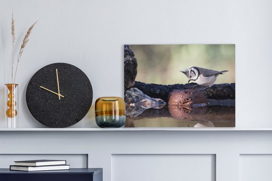 Canvas Schilderij Een Kuifmees zit op een boomstam - 40x30 cm - Wanddecoratie