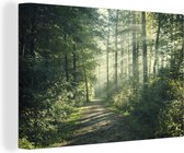 Route à travers une forêt brumeuse 60x40 cm - impression photo sur toile peinture Décoration murale salon / chambre à coucher) / Arbres Peintures Toile