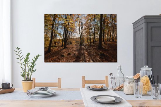 Couleurs d'automne dans les bois du parc national suédois Söderåsen Toile 120x80 cm - Tirage photo sur toile (Décoration murale salon / chambre)