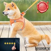 Hondentuigje maat S - Oranje - Voor kleinere honden - No pull harnas - Anti trek - Reflecterend - Controle en rust bij hond en baasje - 5 jaar garantie