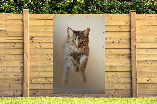 Décoration murale Chat sautant dans les airs - 120x180 cm - Affiche jardin