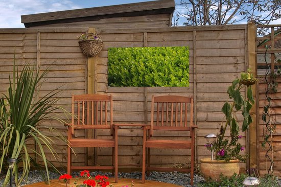 Close up of the Buxus Garden Poster 60x30 cm - petit - Toile de jardin / Toile d'extérieur / Peintures d'extérieur (décoration de jardin)