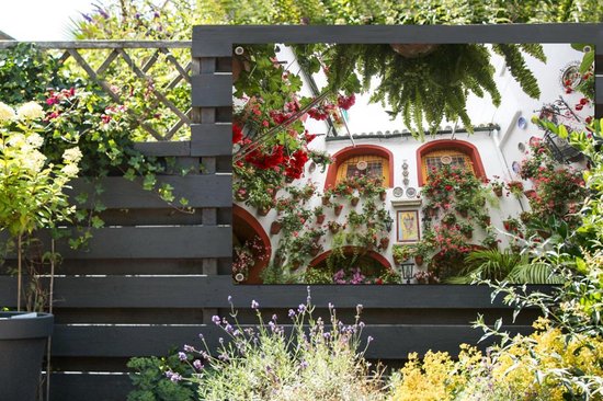 Belles fleurs sur le mur à Cordoba Garden poster 120x80 cm - Toile de jardin / Toile d'extérieur / Peintures pour l'extérieur (décoration de jardin)