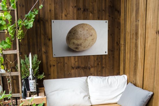Un gros plan d'une pomme de terre sur fond blanc Affiche de jardin 90x60 cm - Toile de jardin / Toile d'extérieur / Peintures d'extérieur (décoration de jardin)