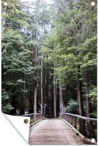 Tuinposter - Tuindoek - Tuinposters buiten - Gang door bomen in bos Big Sur in Verenigde Staten - 80x120 cm - Tuin