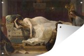 Tuinposters buiten Phaedra - schilderij van Alexandre Cabanel - 90x60 cm - Tuindoek - Buitenposter