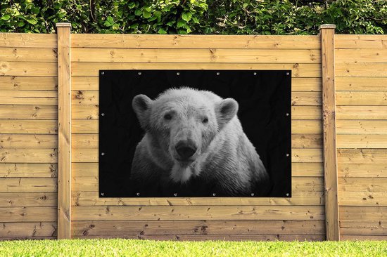 Décoration murale Ours polaire - Animal - Zwart - Wit - 180x120 cm - Poster jardin - Toile jardin