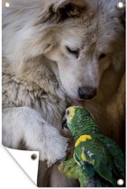 Tuinposter - Tuindoek - Tuinposters buiten - Hond - Papegaai - Dieren - 80x120 cm - Tuin