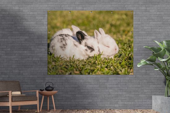 Trois bébés lapins dans un champ 160x120 cm XXL / Groot format!