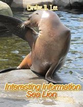 Interesting Information Sea Lion