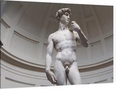 David, Michelangelo's meesterwerk in Florence - Foto op Canvas - 60 x 40 cm